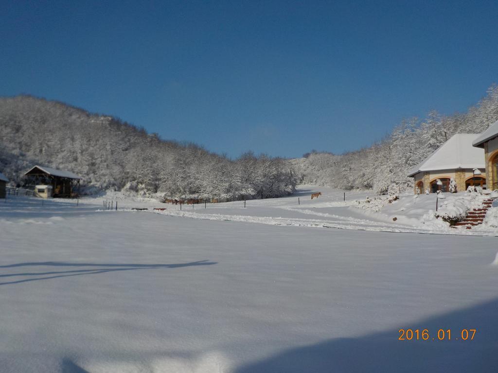 Bed and Breakfast Naspolya Panzio Es Etterem Bataapati Экстерьер фото